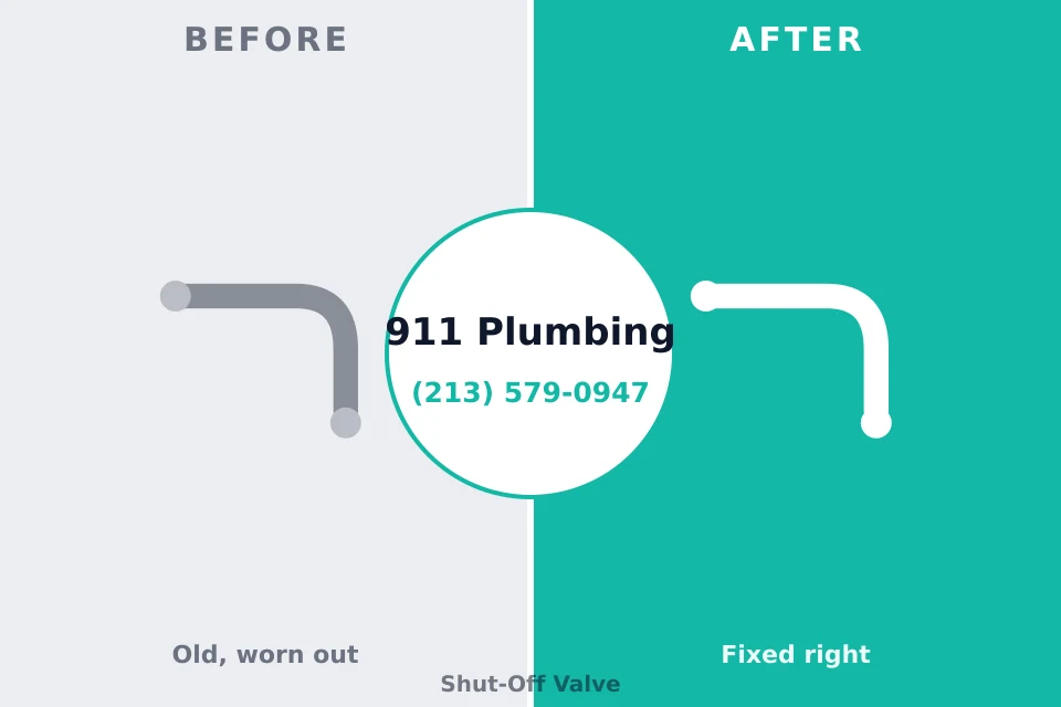 Before and after: plumbing repair Gibsonton, FL